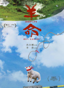 破天神道：万千玩家的热爱与社区分析